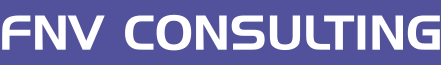 FNV Consulting logo